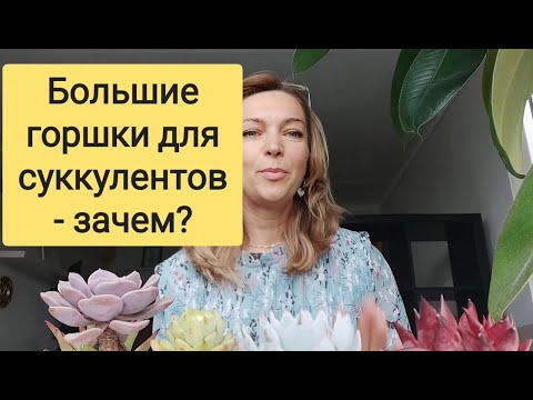 Видео: Размер имеет значение?