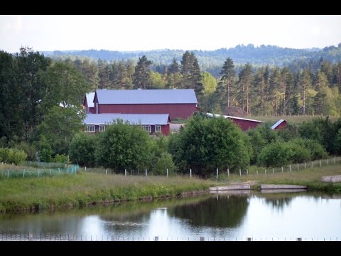 Видео: Экскурсия по фермерскому хозяйству "Катумы"