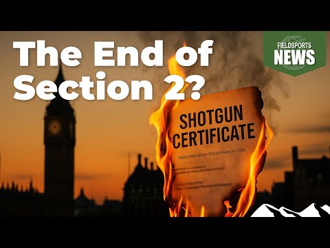 Видео: Нападки лейбористов на лицензирование оружия – что делать – Fieldsports News, 5 ноября 2025 г.