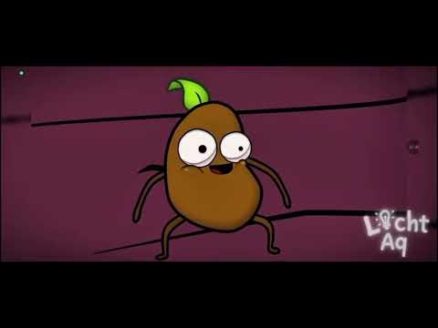 Видео: 16 ноября 2025 г.