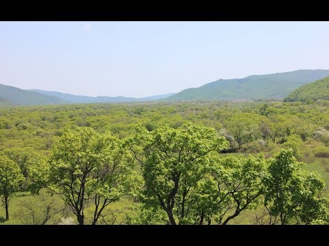 Видео: Удивительная природа Приморья. Том 3. Amazing Nature of Primorye. Vol.III
