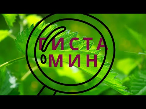 Видео: Гистамин. Взаимодействие с нейромедиаторами. Как сбалансировать.