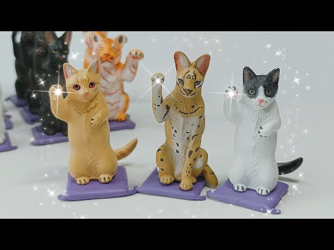 Видео: Котики на удачу в Красном&Белом!