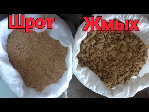 Видео: 🇺🇦Что лучше ЖМЫХ или ШРОТ! Кормление свиней! В чём разница между ними!