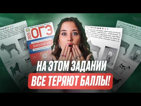 Видео: Как решать 13 ЗАДАНИИ в ОГЭ по биологии / Мощный разбор 13 задания НА МАКСИМУМ ОГЭ 2025!