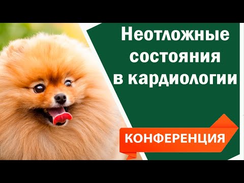 Видео: Неотложные состояния в кардиологии
