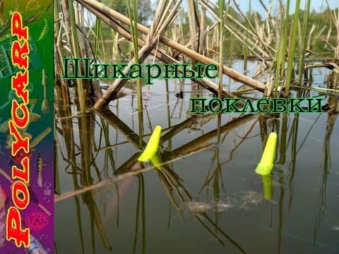 Видео: ЛОВЛЯ КАРАСЯ НА ПОПЛАВОК И МОРМЫШКУ