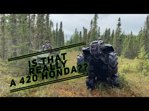 Видео: Сможет ли наша Honda 420 угнаться за Ostacruiser? (Мы так думаем!)