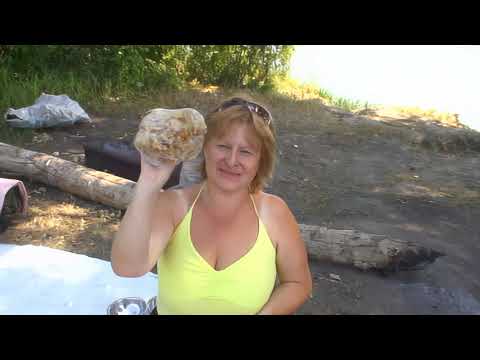 Видео: Григорьевка. 2008