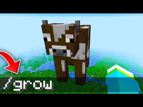 Видео: В Minecraft есть СТРАННЫЕ секретные читы...