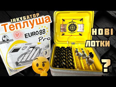 Видео: ІНКУБАТОР Теплуша EURO 88 PRO✅ Новий Перше враження🫣Огляд-РОЗПАКОВКА‼️Нові ЧОРНІ ЛОТКИ🤩