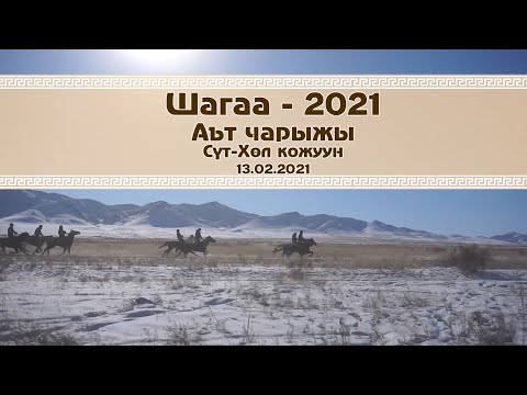 Видео: Аът чарыжы Шагаа - 2021 Сут-Хол кожуун 13.02.2021