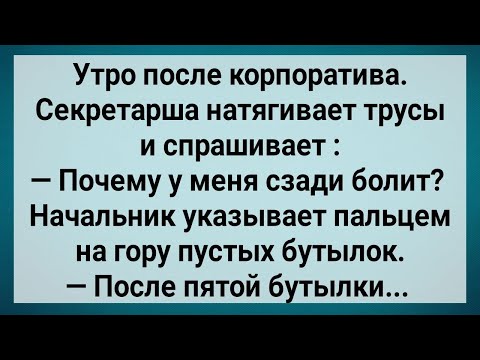Видео: Как Секретарша На Корпоративе Буянила! Сборник Свежих Анекдотов! Юмор! Позитив!.