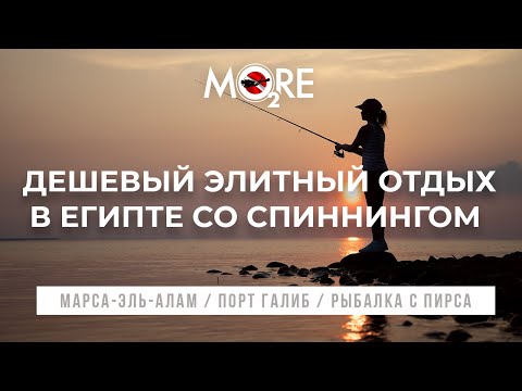 Видео: Элитный (но) дешевый отдых в Египте. Марса Алам. Порт Галиб. Обзор территории и рыбалки с пирса.