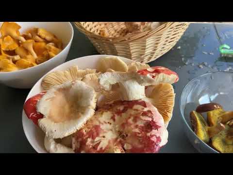 Видео: Товары для вышивки с Temu: плюсы и минусы