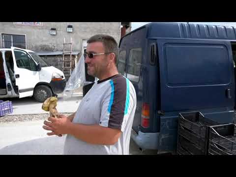 Видео: 12 клас от с.Кръстава 2018 VTS 01 1 част-1