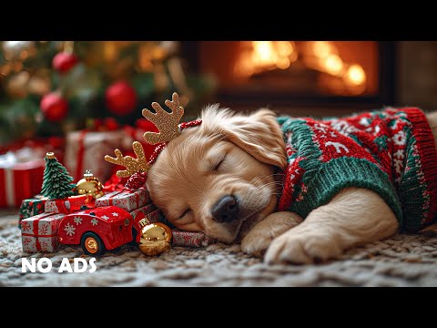 Видео: 12 Часов Музыки для Глубокого Сна Собак 🐶🎅 От Тревоги Разлуки 🎵 Лечебная Музыка 🐕‍🦺 Без Рекламы