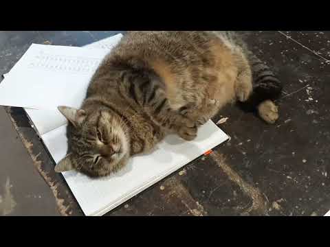 Видео: Изготовление ограждения  1 часть. В храм на балкон для хора.