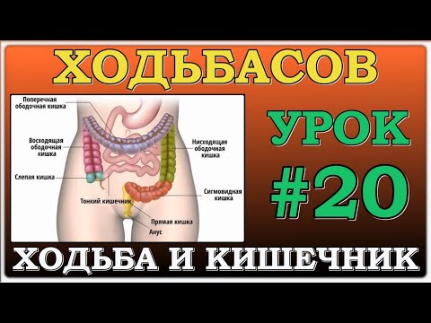 Видео: Ходьба. Влияние ходьбы на кишечник. Урок#20