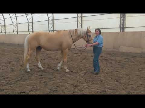 Видео: Проблемы с мышцами спины Часть 2