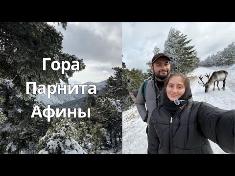 Видео: Зимняя сказка в Афинах? Гора Парнита, прогулка и теплый чай