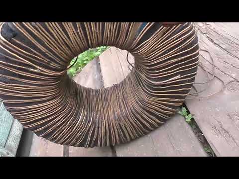 Видео: Как обменять бытовой сварочный трансформатор на инвертор.