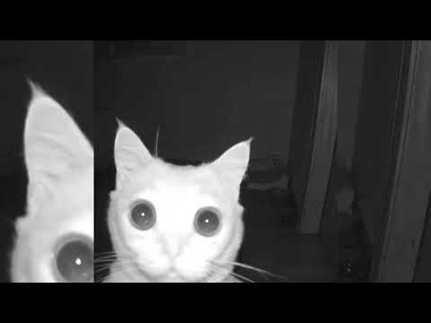 Видео: 🎀 музыка для флешмоба  🎀