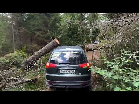 Видео: Off-road прогулка по лесу (Grand Vitara, Pajero Sport, Hover, Shevy Niva) #auto #offroad