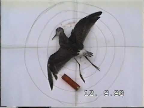 Видео: Охота 1996г Часть2