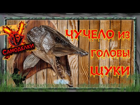 Видео: ЧУЧЕЛО ИЗ ГОЛОВЫ ЩУКИ / STUFFED FROM THE HEAD OF A PIKE