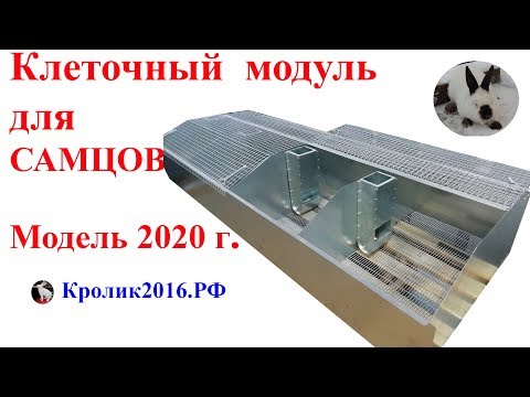 Видео: Клеточный модуль для самцов нового типа (Модель 2020).
