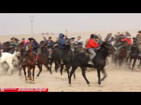 Видео: Улоки Мирзарабод 15.01.2021/Купкари 2022 #кукмар #улок