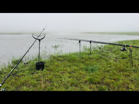 Видео: РЫБАЛКА! Карп! Ставропольский край