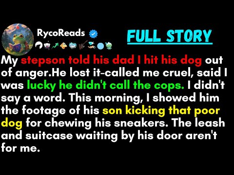 Видео: Мой пасынок рассказал отцу, что я в гневе ударил его собаку. Он вышел из себя, назвал меня жесток...