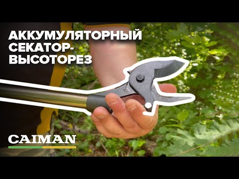 Видео: Режет практически всё! Аккумуляторный секатор-высоторез CAIMAN. #садоваятехника #gardening #garden