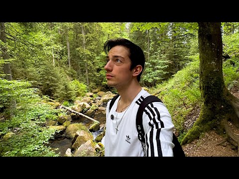 Видео: Сбежал от суеты в джунгли Германии (чуть не потерялся)