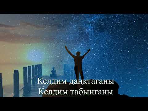 Видео: Келдим даңктаганы