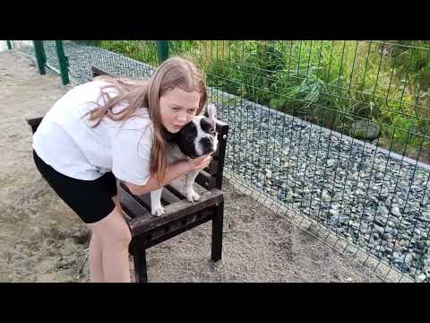 Видео: Урал//Теплый вечер выходного дня ☀️Прогулка с Бубляшом 🐕