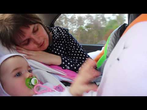 Видео: VLOG СПЛЮШИК едет с нами. Стреляю птичками. Вырежи, приклей, рисуй от издательства МИФ