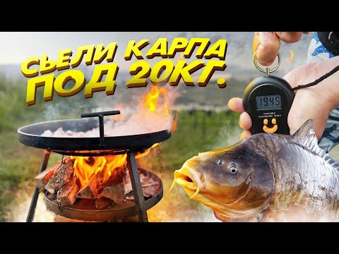 Видео: СЪЕЛИ КАРПА ПОД 20кг. Рыболовные приключения на дикаре!