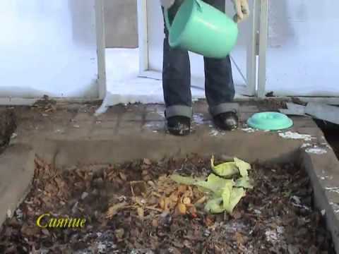 Видео: 8_Зима