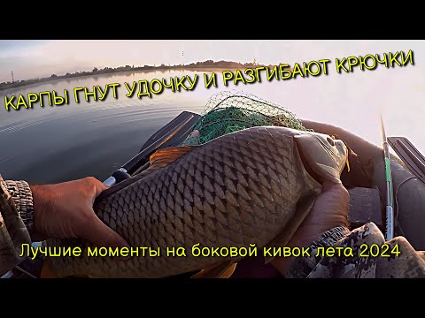 Видео: БЕССОВЕСТНЫЕ КАРПЫ ГНУТ УДОЧКУ И РАЗГИБАЮТ КРЮЧКИ!!!  ЛУЧШИЕ МОМЕНТЫ С БОКОВЫМ КИВКОМ ЛЕТА 2024!