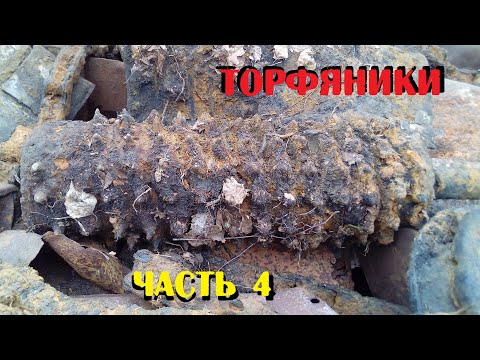 Видео: ПОДНЯЛИ ЛЮТЫЙ СБРОС МЕТАЛЛА НА СТАРОЙ ТОРФОРАЗРАБОТКЕ СССР