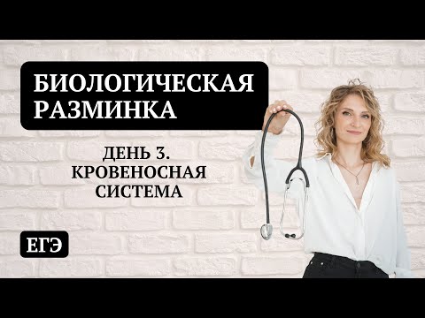 Видео: День 3. Кровеносная система