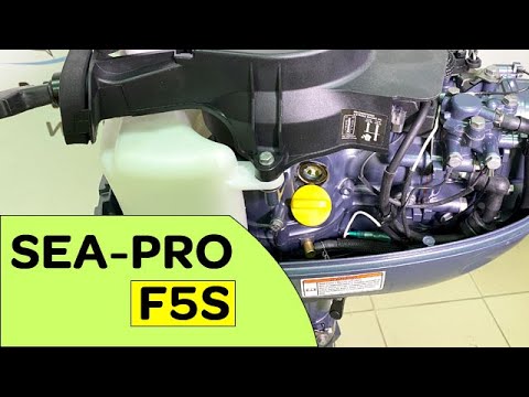 Видео: ⭐ Бюджетный 4-тактный лодочный мотор 5 лс / SEA-PRO F5S