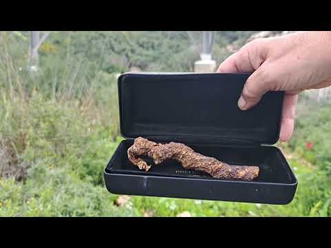 Видео: Корень мандрагоры рецепты.Mandrake root recipes#сад#мандрагора#море#горы#прогулка#Review