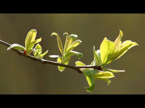 Видео: Будь новым