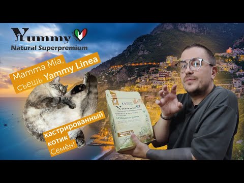 Видео: Локализовать производство!? Yummy Linea - сухой супер премиум корм для кошек с индейкой.