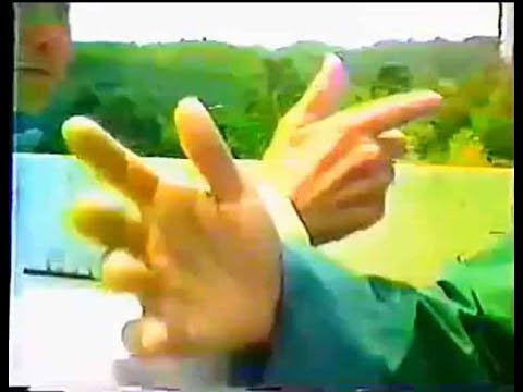 Видео: Мастер Дун Хулин (董虎岭老师 Dong Huling) — Туйшоу (Tuishou 推手)