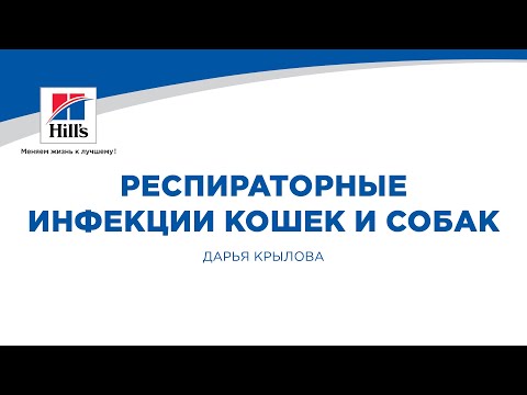 Видео: Вебинар на тему: "Респираторные инфекции кошек и собак. Патогенез и диагностика.”